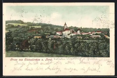 AK Steinakirchen a. Forst, Teilansicht mit Kirche