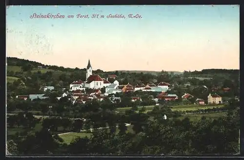 AK Steinakirchen a. Forst, Teilansicht mit Kirche