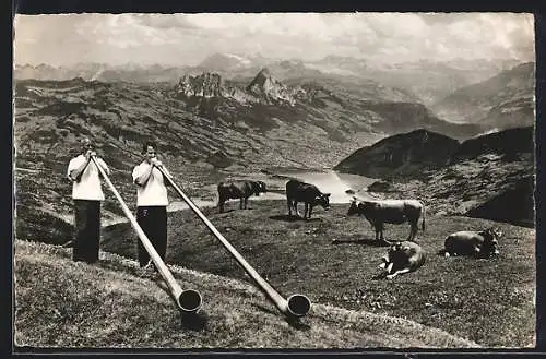 AK Alpenhornbläser auf der Rigi-Kulm mit Kühen auf der Weide