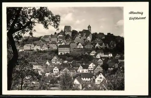 AK Altensteig, Teilansicht mit Kirche