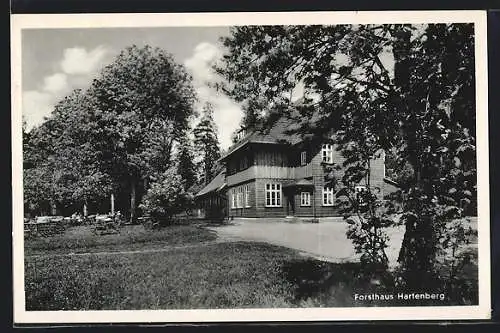 AK Elbingerode /Harz, Gast- und Pensionshaus Forsthaus Hartenberg