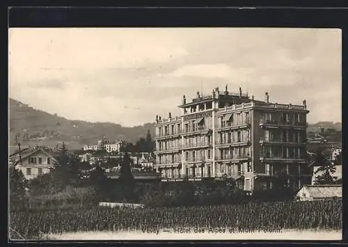 AK Vevey, Hotel des Alpes et Mont Pelerin