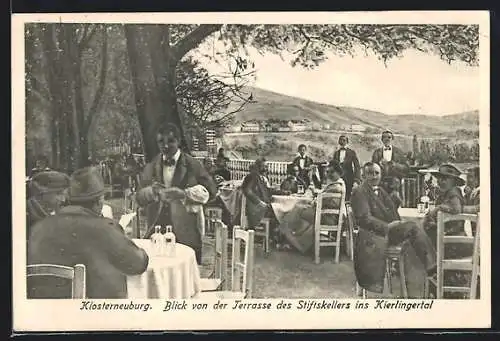 AK Klosterneuburg, Blick von der Terrasse des Stiftskellers ins Kierlingertal