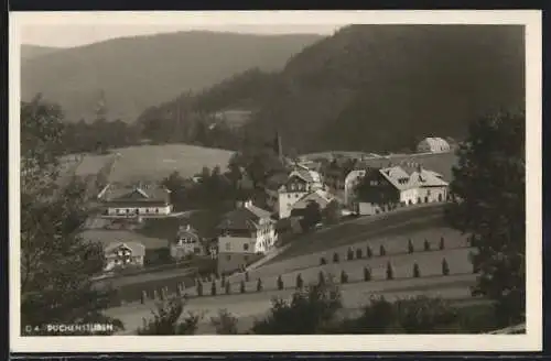 AK Puchenstuben, Ortsansicht