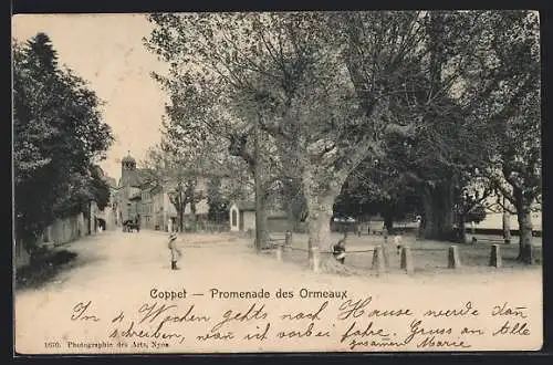 AK Coppet, Promenade des Ormeaux