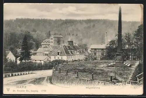 AK Aschersleben /Harz, Partie am Mägdesprung mit Häusern