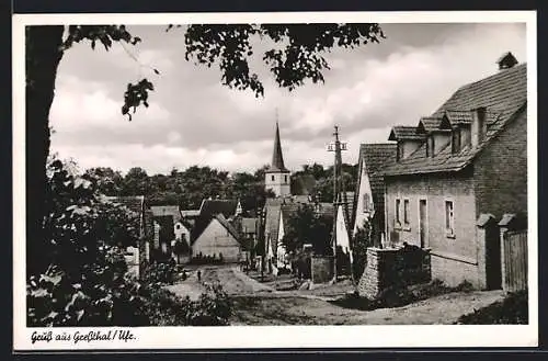 AK Gressthal /Ufr., Strassenpartie des Ortes