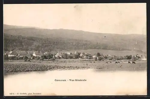 AK Cornaux, Vue générale