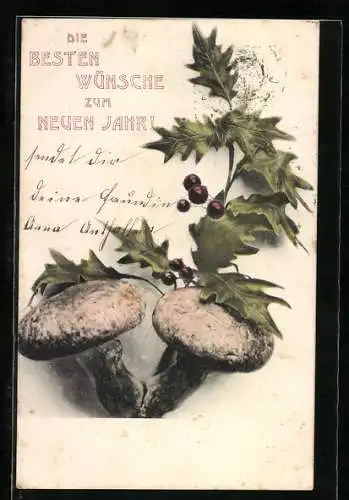 AK Fröhliche Weihnachten! Pilz mit Mistelzweig