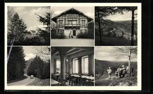 AK Taubensuhl, Waldgaststätte Forsthaus, Waldlandschaft, Speisesaal, Landstrasse durch den Wald, Raststätte mit Aussicht