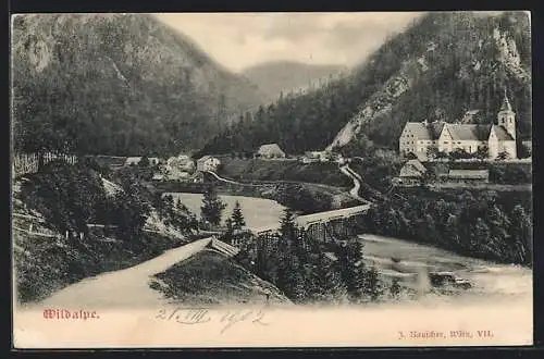 AK Wildalpe, Ortsansicht mit Strasse und Bergpanorama