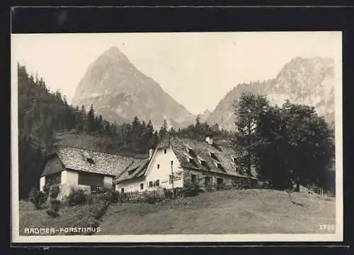 AK Radmer, Forsthaus im Bergidyll