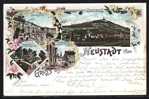 Lithographie Neustadt i. Odw., Berggasthaus zum Breuberger Hof, Parkpartie, Hauptstrasse