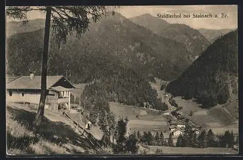 AK Steinach, Ortspartie mit Steidlerhof