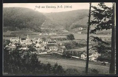 AK Thernberg /N.-Ö., Teilansicht mit Kirche