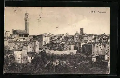 AK Siena, Panorama