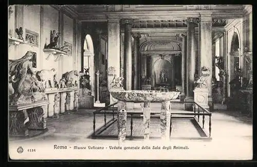 AK Roma, Museo Vaticano, Veduta generale della Sala degli Animali