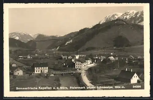 AK Kapellen a. d. Mürz, Teilansicht gegen Schneealpe