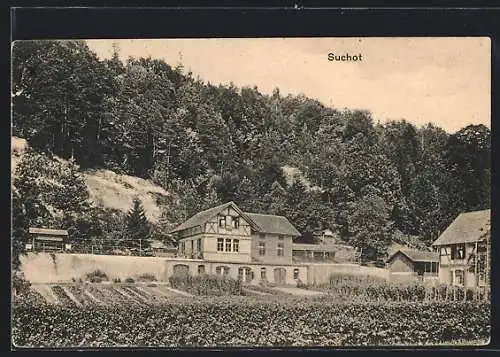 AK Rämismühle, Haus Suchot