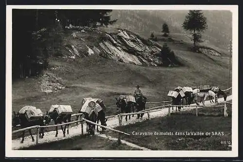 AK Saas, Caravane de mulets dans la Vallée