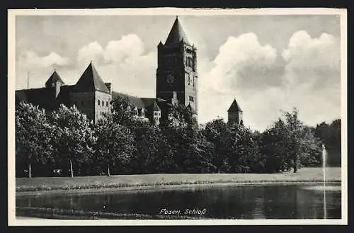 AK Posen / Poznan, Partie am Schloss