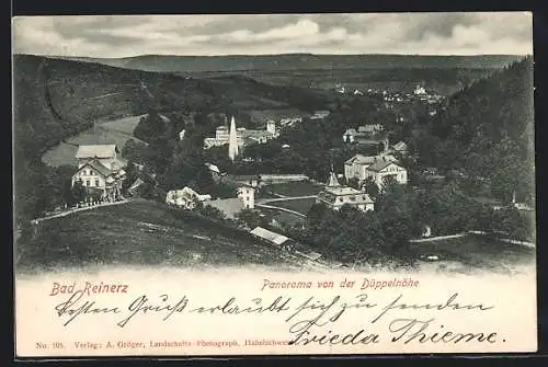 AK Bad Reinerz, Panorama von der Düppelhöhe