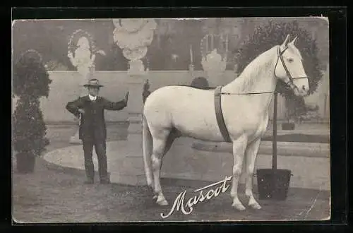 AK Mascot, Schimmel und sein Besitzer