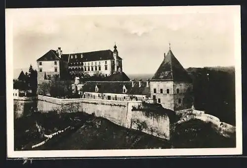 AK Ptuj, Grad, Schloss