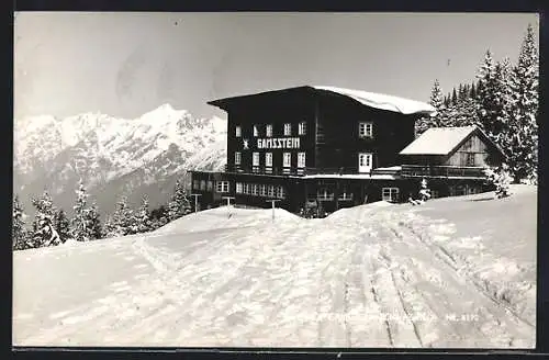 AK Schwaz /Tirol, Alpenhof Gamsstein im Schnee