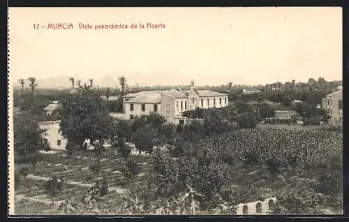 AK Murcia, Vista panoramica de la Huerta