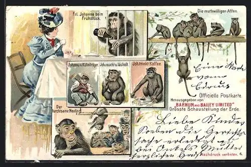 Lithographie Zirkus Barnum & Bailey, Frl. Johanna beim Frühstück, Affe raucht