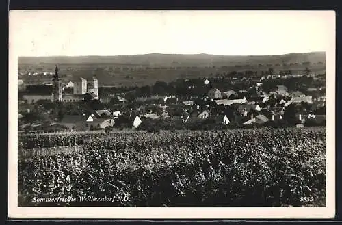 AK Wolkersdorf /N.-Oe., Gesamtansicht