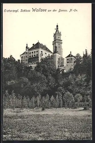 AK Wallsee an der Donau, Erzherzogliches Schloss Wallsee