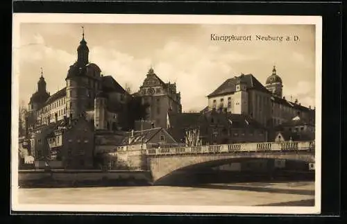 AK Neuburg / Donau, Ortsansicht mit Schloss