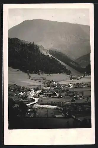 AK Türnitz, Lehenrotte, Panorama mit Kirche