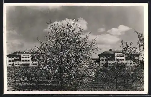 AK Sopron, Lövérhotel