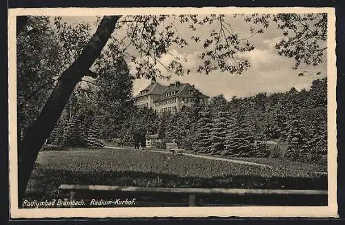 AK Brambach / Vogtl., Radium-Kurhof mit Park