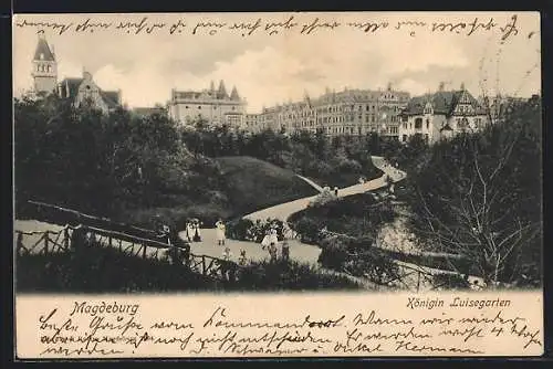 AK Magdeburg, Königin Luisegarten mit Spaziergängern