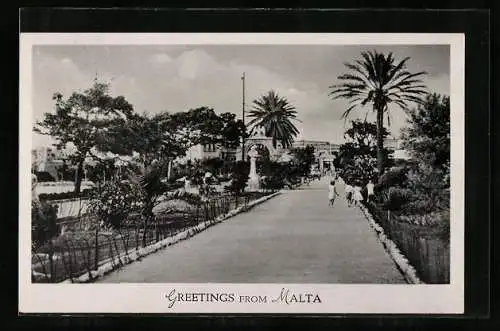 AK Malta, Strassenpartie mit Palmen