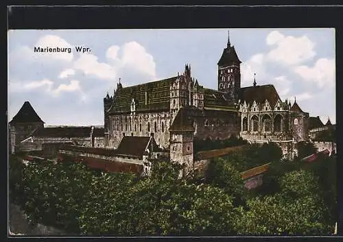 AK Marienburg / Malbork, Blick zum Schloss