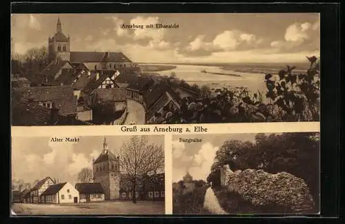 AK Arneburg a. Elbe, Teilansicht mit Elbansicht, Alter Markt, Burgruine