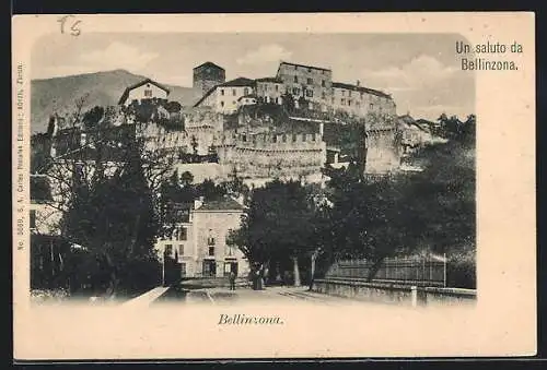 AK Bellinzona, Blick hoch zum Schloss