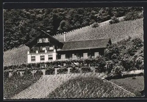 AK Weiningen, Restaurant Winzerhaus