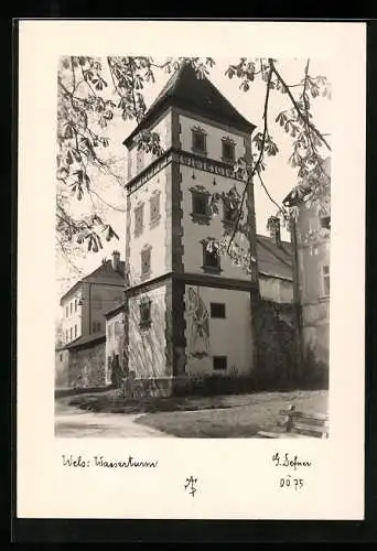 Foto-AK Adalbert Defner: Wels, Blick auf den Wasserturm