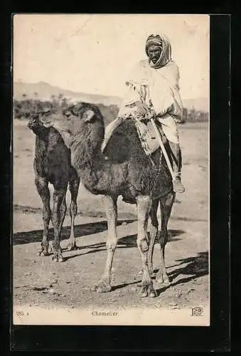 AK Ein Bedouine auf einem Kamel