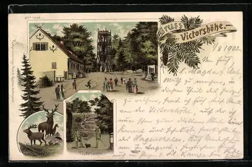 Lithographie Stolberg / Harz, Vivtorshöhe mit Aussichtsturm & Teufelsmühle