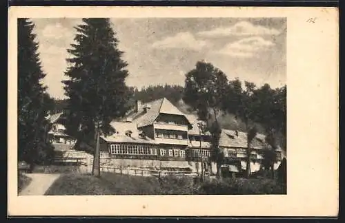 AK Alpl bei Krieglach, Gasthaus Waldheimat, Inh. Bruggraber