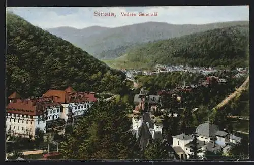 AK Sinaia, Vedere Generala