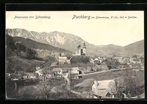 AK Puchberg am Schneeberg, Ortsansicht mit Kirche