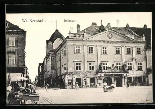 AK Wr.-Neustadt, Strassenpartie mit Geschäft und Rathaus